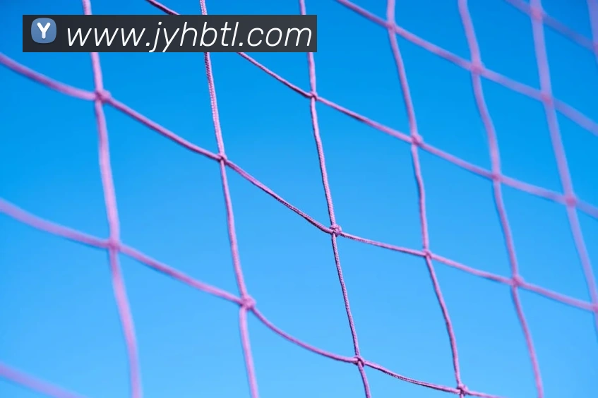 九游会j9平台生态图